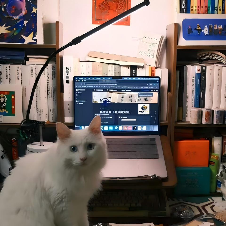 持续的成长机会